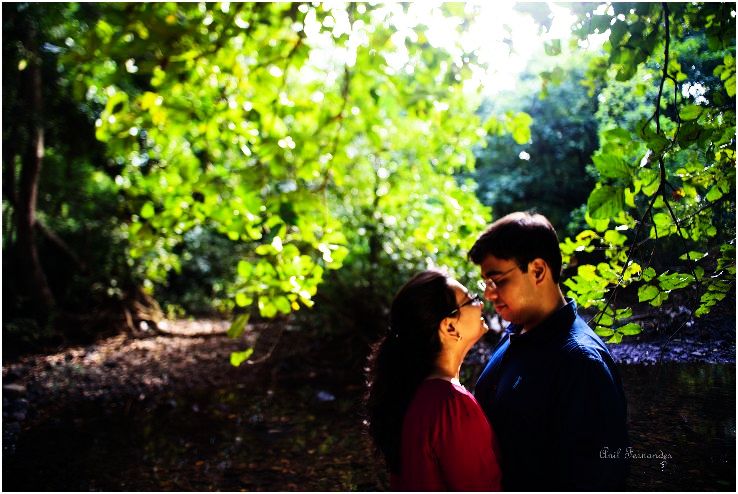 2 - Alibaug
