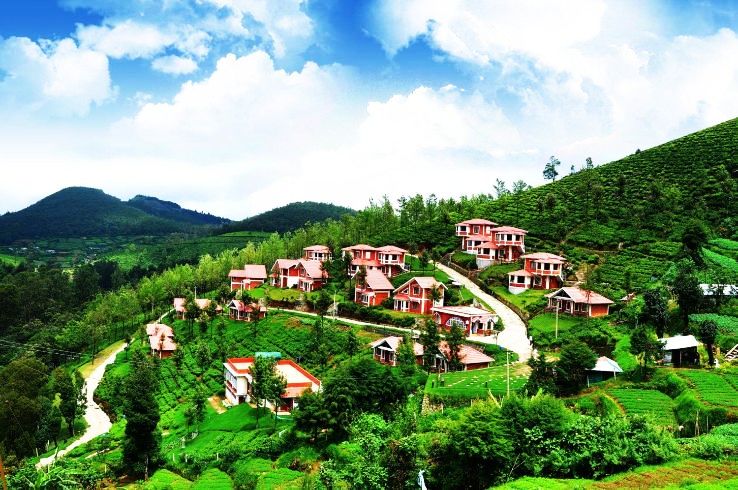 Ooty