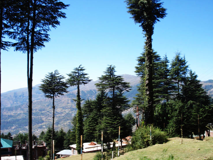 10. Patnitop