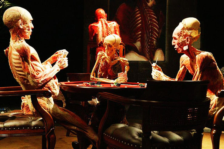Plastinarium in Guben