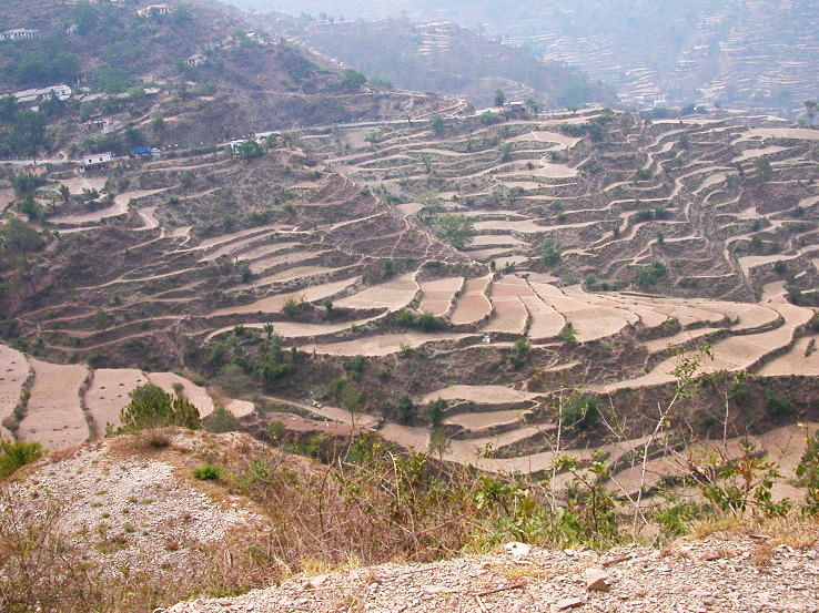 Ranikhet