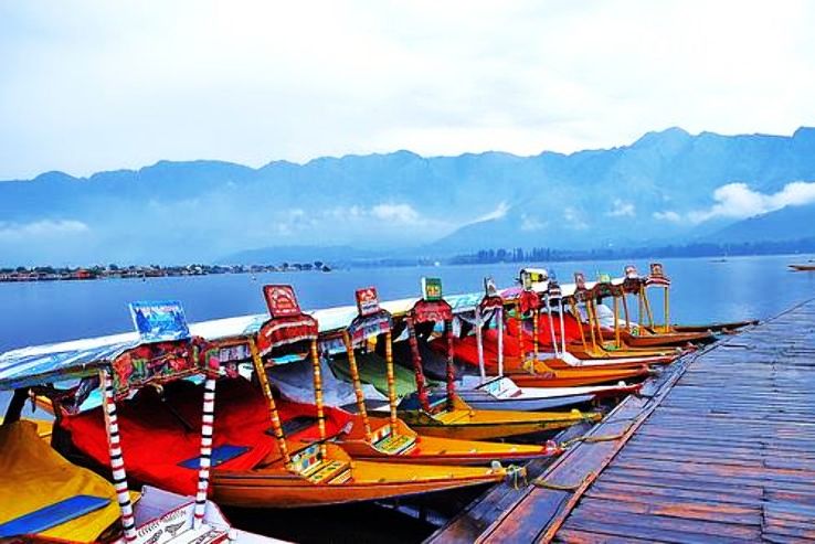 Take A Shikara Ride