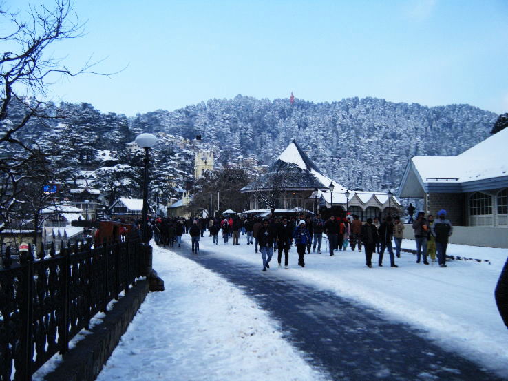 Shimla