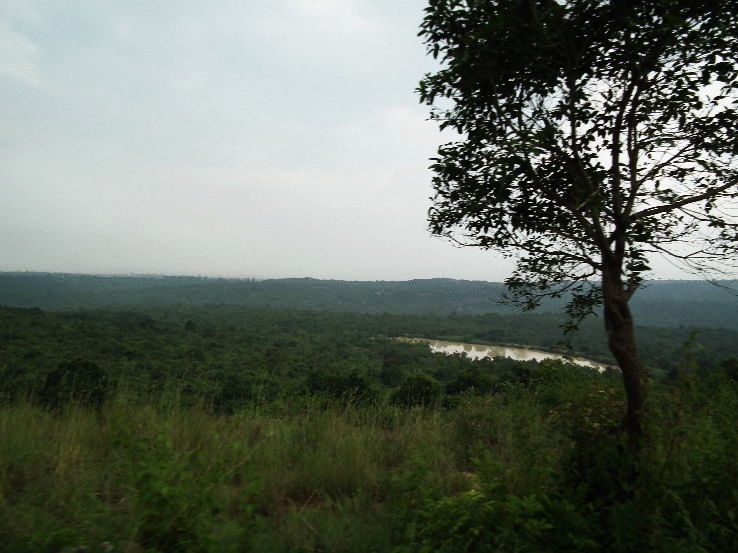 Bannerghatta National Park (22 km from Bengaluru)