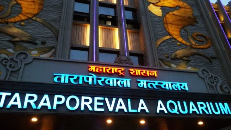 Taraporewala Aquarium