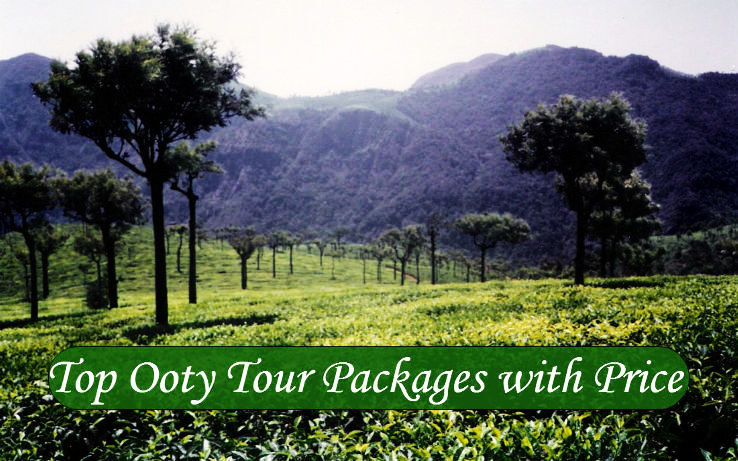 Image result for ooty tour packages