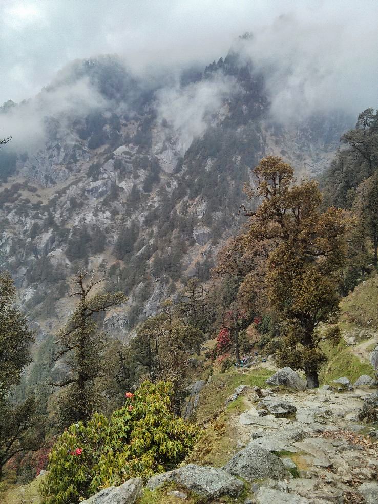 Triund
