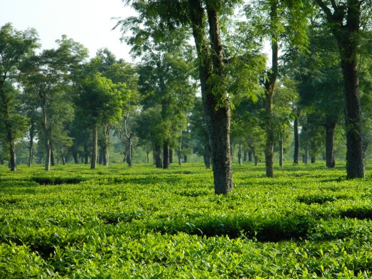 Dibrugarh, Assam