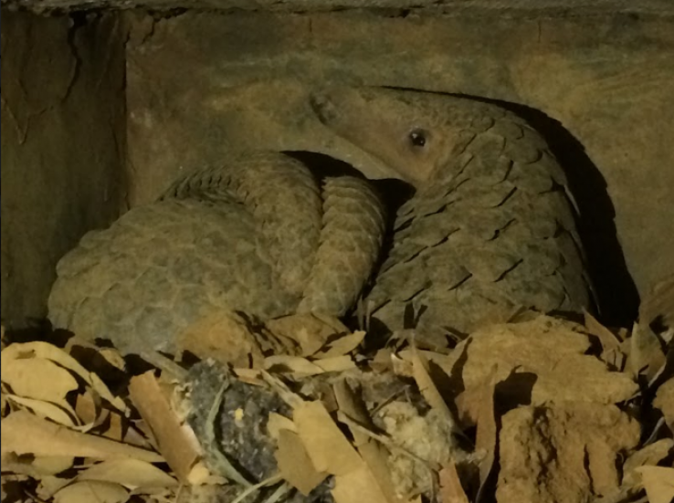 Cuc Phuong National Park