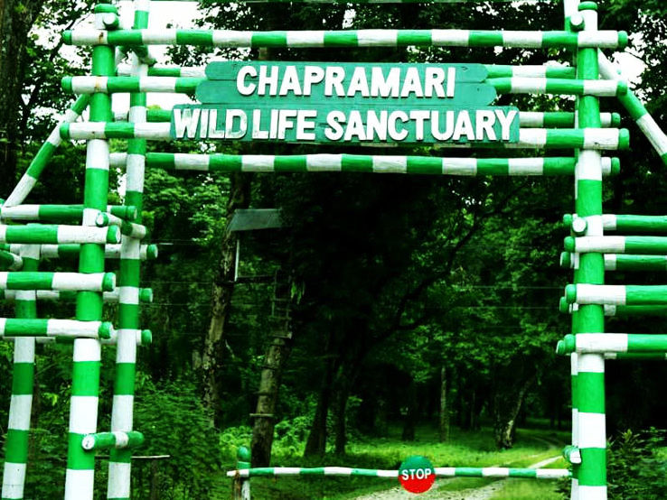 5. Chapramari Wildlife Sanctuary