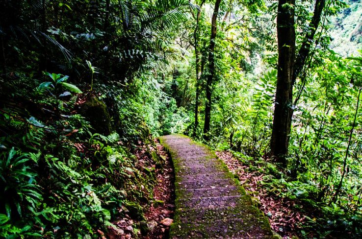 Major Attractions Points