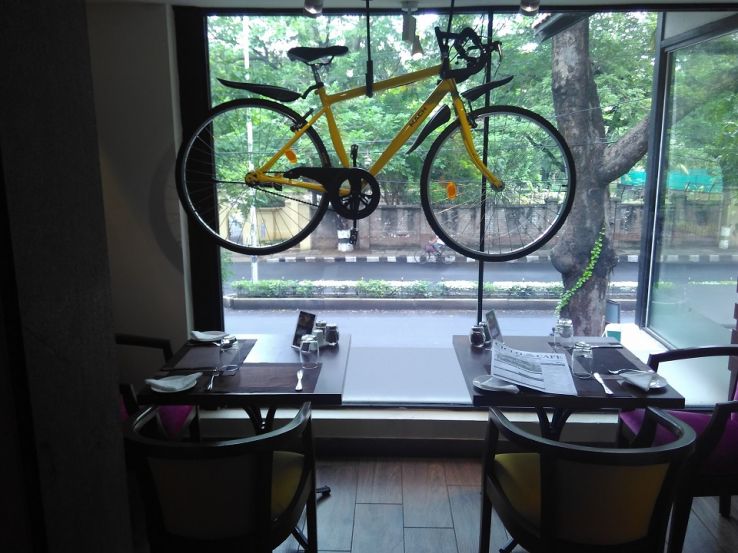 Ciclo Café