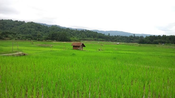 Ziro Valley
