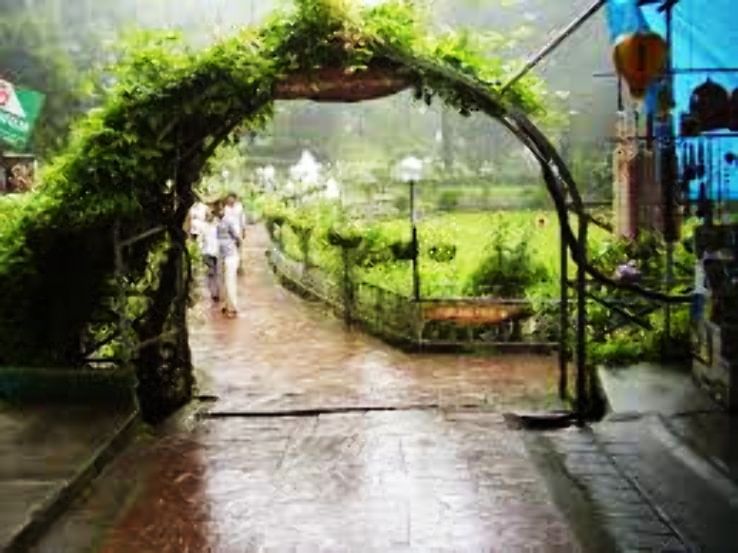 Company Garden