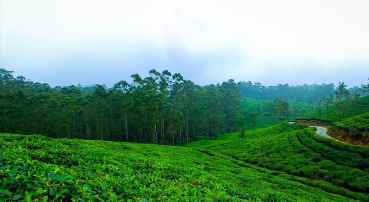 Coorg