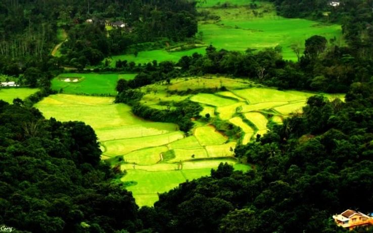 Coorg
