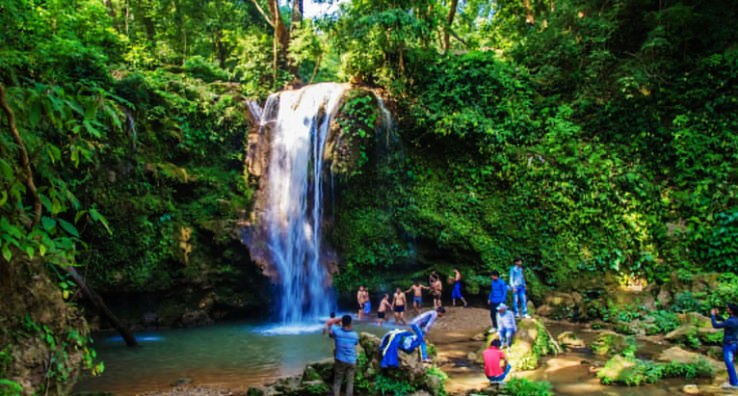 Explore the wildlife in Jim Corbett