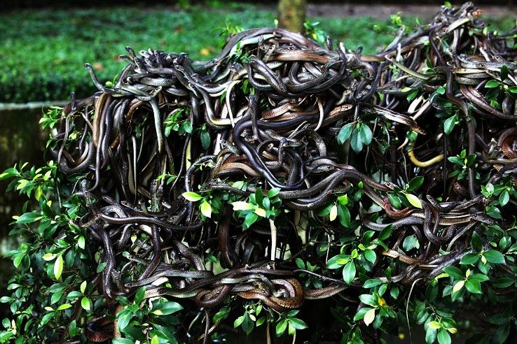 5 Places In World You Can Experience Only Through Google Maps