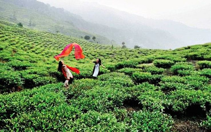 Best Hill Stations to Visit Near Bagdogra