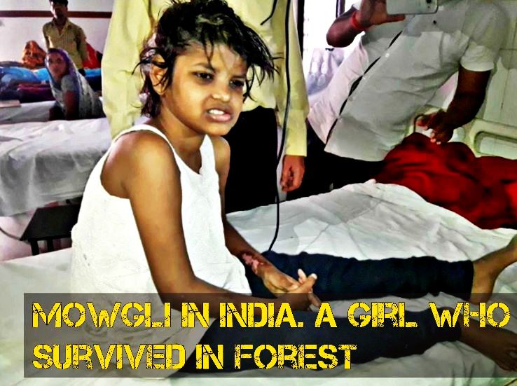 Meet the Mowgli of India, An 8 year Girl who survived forest in India.