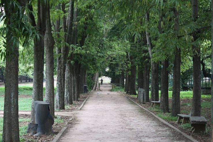 Take a walk in the serene Cubbon Park