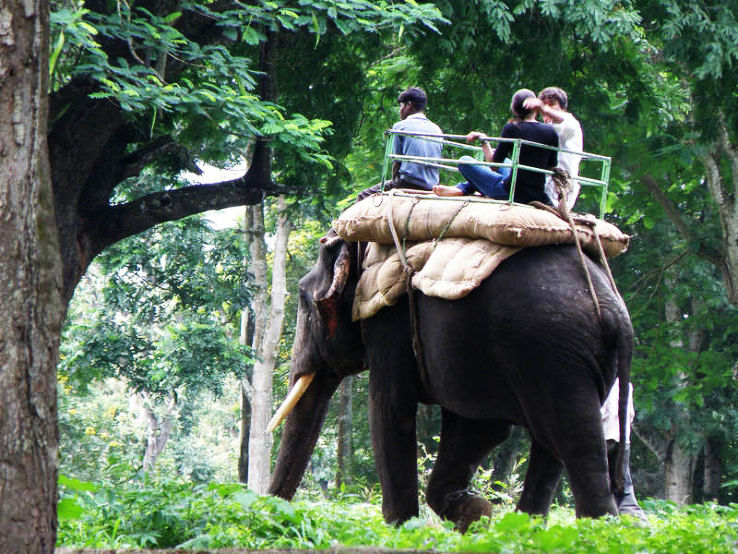 4. Dubare Elephant Camp