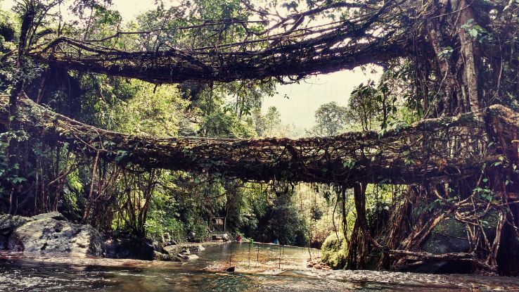 Cherrapunji, Meghalaya