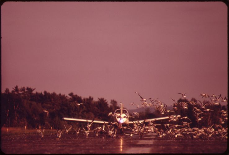 Duluth seaplane tour