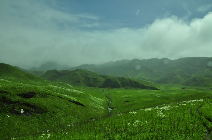 Dzukou Valley Trek