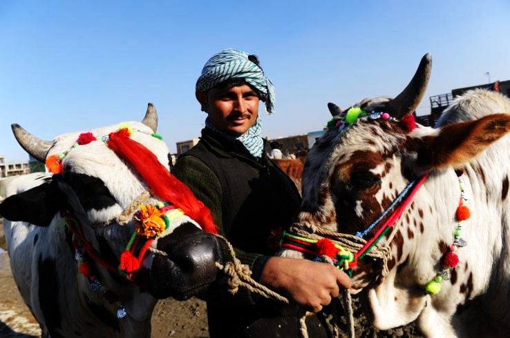 Knowing The Land Better Through The Colourful Festivals of Afghanistan