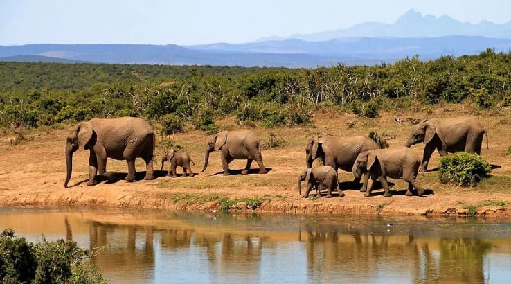 Start of an exciting trip