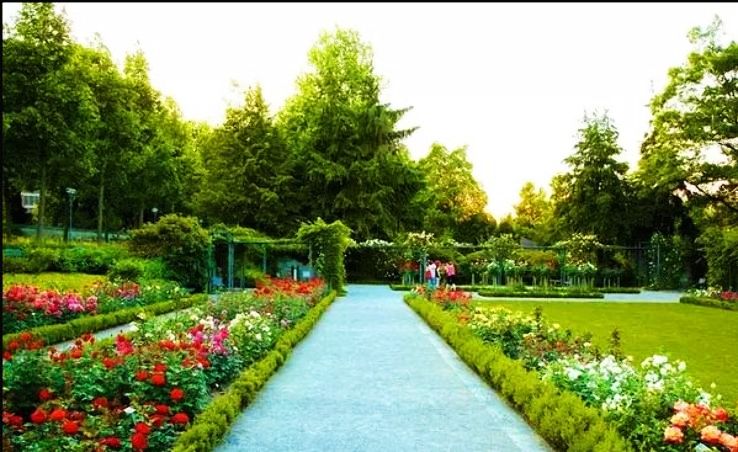 9.Botanical Garden