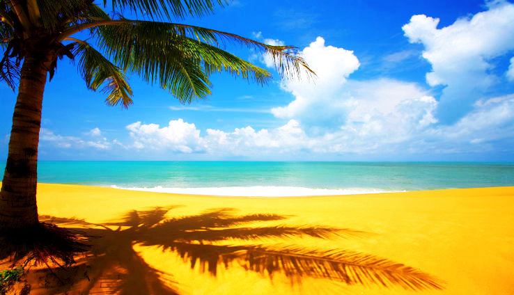 7. Goa Tour Package