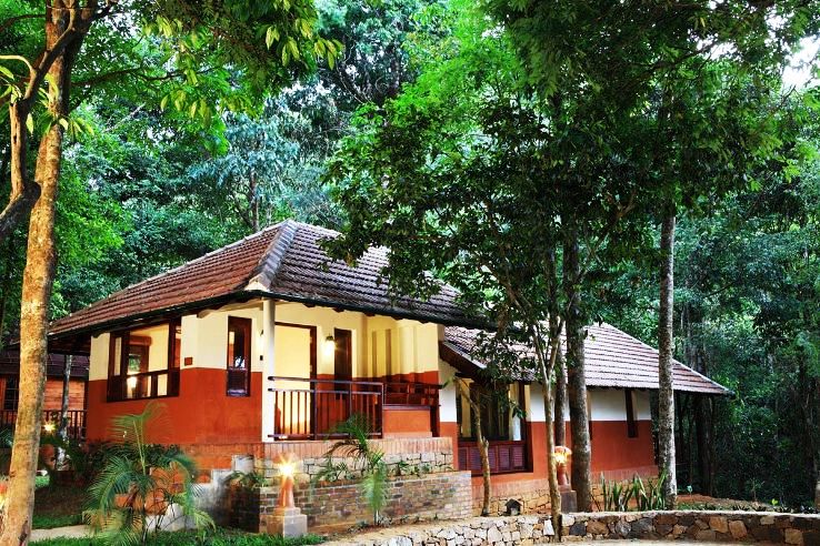 1 - Mudumalai