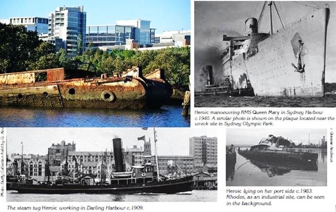 The Forest in Making