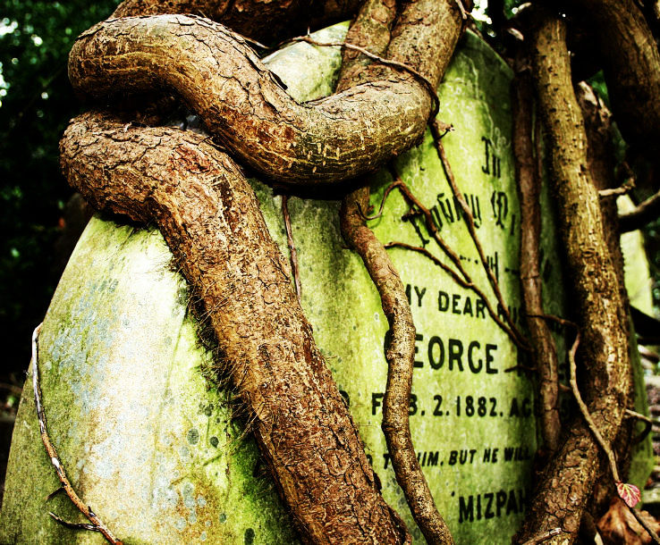 highgate_cemetery3_1444116499u23.jpg