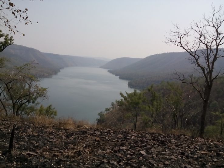 Nallamalla Forest Trek