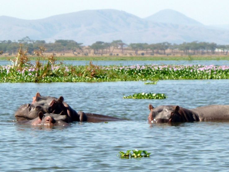 Explore the Great Rift valley lake region