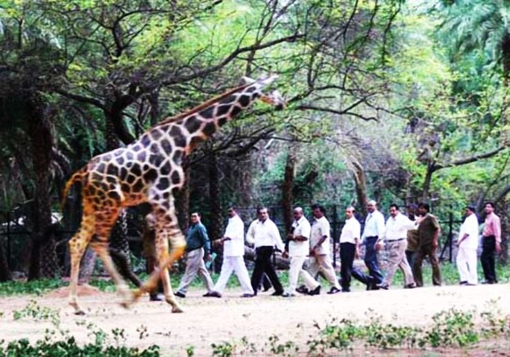 Jawaharlal Nehru Zoological Park