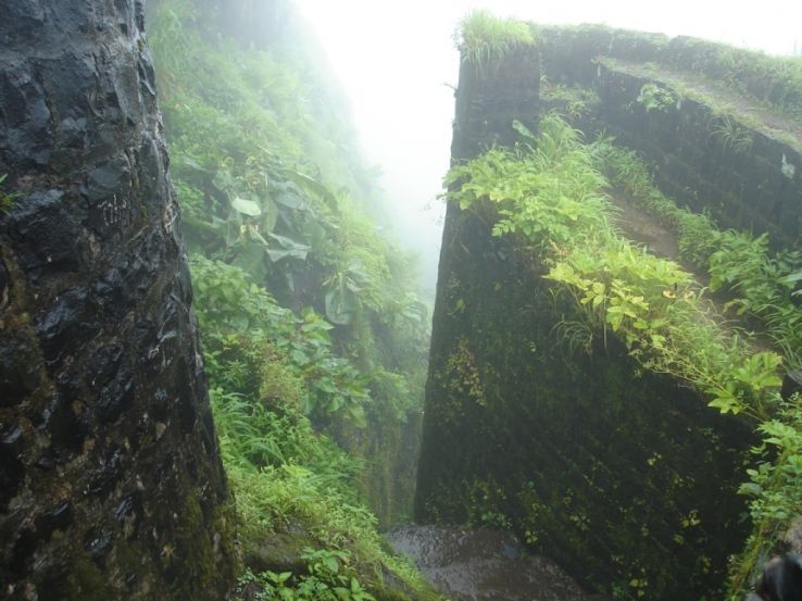 The Tikona Trek