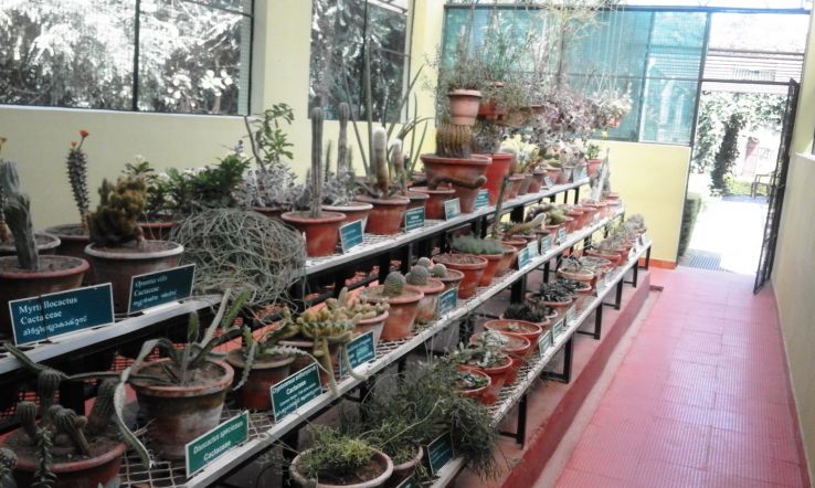 Unknown facts about the teak museum