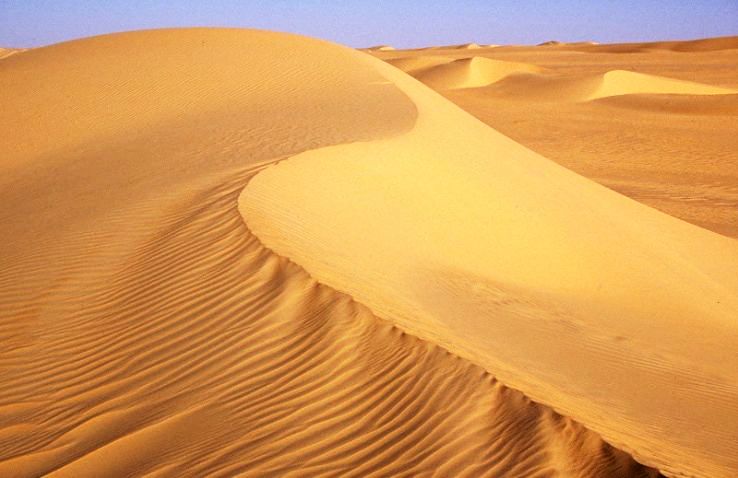 The Western Sahara Desert