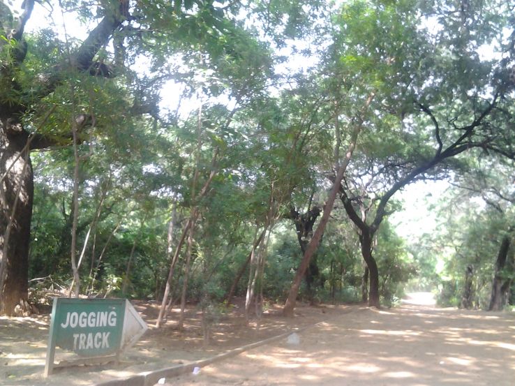 Enjoy walking trails in Jahanpanah Forest