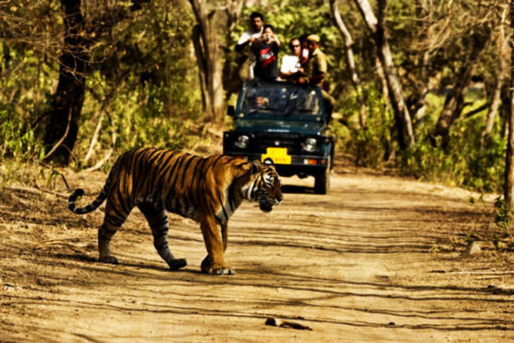 Jim Corbett National Park