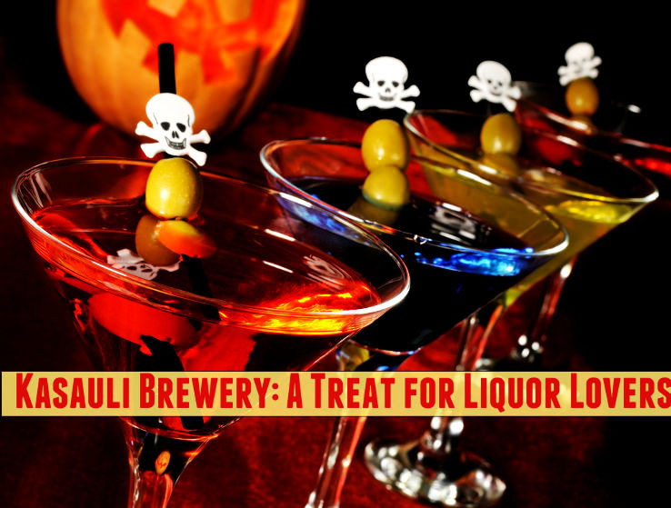 Kasauli Brewery: A Treat for Liquor Lovers