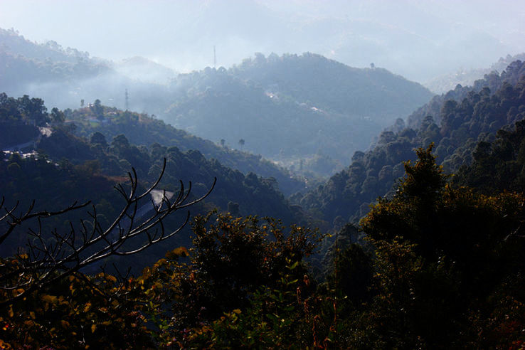 Kasauli