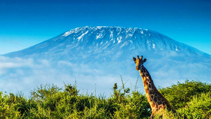 Kilimanjaro