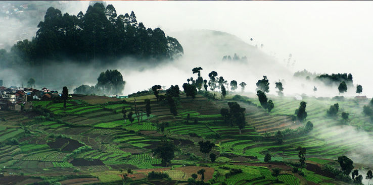 2- Kodaikanal