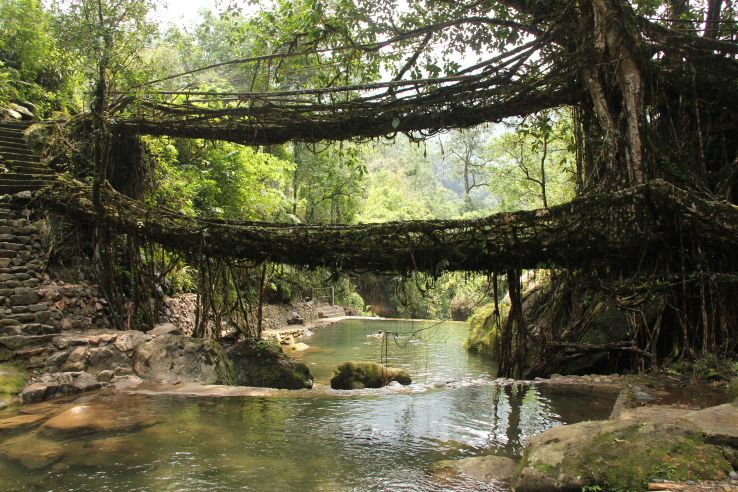 Double Decker Living Root Bridge Trek