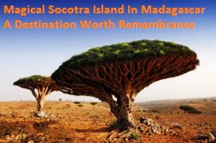 Magical Socotra Island In Madagascar A Destination Worth Remembrance
